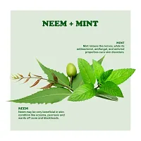 Kimayra Organic Neem + Mint Face Pack Powder For Clean  Clear Skin | Help In Reduce Pimple/Acne, Marks  Scars | Natural Face Pack Powder For Women/Men - Safe For All Skin Type-thumb3