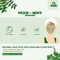 Kimayra Organic Neem + Mint Face Pack Powder For Clean  Clear Skin | Help In Reduce Pimple/Acne, Marks  Scars | Natural Face Pack Powder For Women/Men - Safe For All Skin Type-thumb1