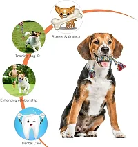 Toys for Dogs chew Toys for Puppies and Chew Toy Puppy Toys for Small to Medium Dogs Accessories pet Toys Dog teether Toy Rope Toys for Dogs Toys for Puppy Rope Toy - Pack of 6-thumb4