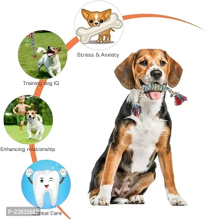 Toys for Dogs chew Toys for Puppies and Chew Toy Puppy Toys for Small to Medium Dogs Accessories pet Toys Dog teether Toy Rope Toys for Dogs Toys for Puppy Rope Toy - Pack of 6-thumb5