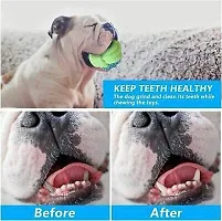 Dog Toys, Puppy Toys for Teething Small and Medium Dogs, Puppy Chew Toys with Cute Squeaky Ball Dog Toys and Rope Dog Chew Toys - Color May Vary-thumb1