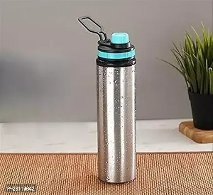 Stylish Stainless Steel Water Bottle