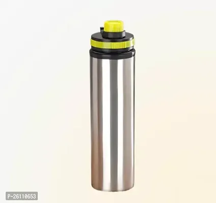 Stylish Stainless Steel Water Bottle