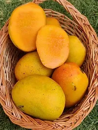 Guru 24 Hours Mangifera Indica Mango Live Plant - Healthy  Grafted-thumb1