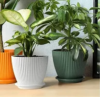 Plant Container Plastic Flower Pot with 7 Inch Bottom Tray Pack Of 2-thumb3