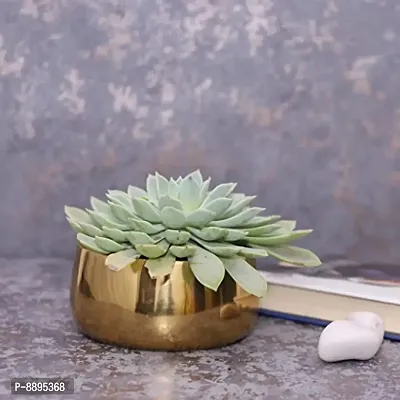 Metal Printed Flower Pot-thumb0