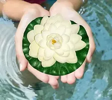 Modern Artificial Flower-thumb2