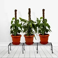 VR Black  rectangular  Plant  Stand/Pot Stand - 24 inches for || Plant Stand for Pots|| Outdoor Plant Stand || (Set of 1)-thumb3