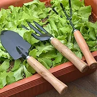 Garden Tool Wooden Handle (3pcs-Hand Cultivator, Small Trowel, Garden Fork)-thumb1