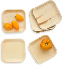 RudraEco Areca Leaf 7"" Square Shallow Plate Set of 20 Export Quality Bio Degradable Decomposable Disposable Plates-thumb2