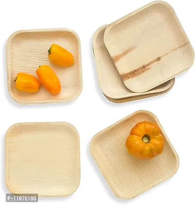 RudraEco Areca Leaf 7"" Square Shallow Plate Set of 20 Export Quality Bio Degradable Decomposable Disposable Plates-thumb3