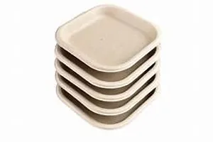 RudraEco Bio Degradable Decomposable Ecofriendly Disposable Plates - Pack of 50-thumb3