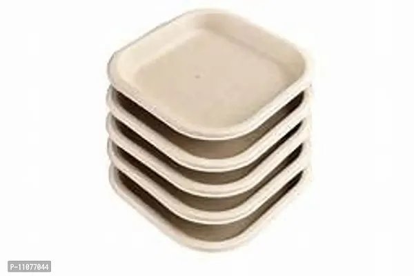 RudraEco Bio Degradable Decomposable Ecofriendly Disposable Plates - Pack of 50-thumb4