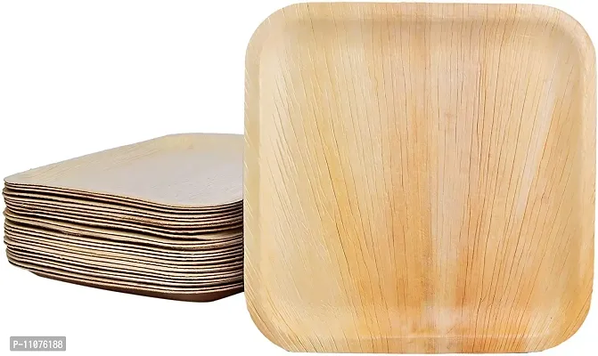 RudraEco Areca Leaf 7"" Square Shallow Plate Set of 20 Export Quality Bio Degradable Decomposable Disposable Plates