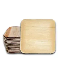 RudraEco Areca Leaf 9 Square?Shallow Plate? Set of 20 Export Quality Bio Degradable Decomposable Disposable Plates-thumb2