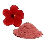 Hibiscus Powder For Hair | 100% Natural  Pure Gudhal Flower Powder | Hibiscus Flower (Rosa Sinensis) Powder For Bouncy Hairs Naturally | 227 Grams, Pack of 2 By Neminath Herbal Care-thumb2