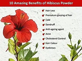 Hibiscus Powder For Hair | 100% Natural  Pure Gudhal Flower Powder | Hibiscus Flower (Rosa Sinensis) Powder For Bouncy Hairs Naturally | 227 Grams, Pack of 2 By Neminath Herbal Care-thumb1