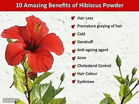 Hibiscus Powder For Hair | 100% Natural  Pure Gudhal Flower Powder | Hibiscus Flower (Rosa Sinensis) Powder For Bouncy Hairs Naturally | 227 Grams, Pack of 2 By Neminath Herbal Care-thumb2