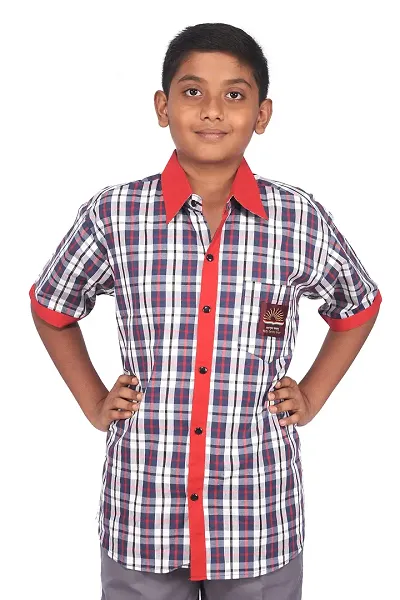 D V Boys Regular Fit Uniform Shirt