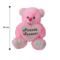 Saugat Traders Friends Forever Teddy Bear - Pink-thumb1