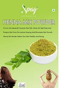 Spag Herbals Premium Organic Indigo, Henna, Henna Mix, Mint Leaves, Reetha and Shikakai Powder For Hair Care - 300gms (50g x 6)-thumb1