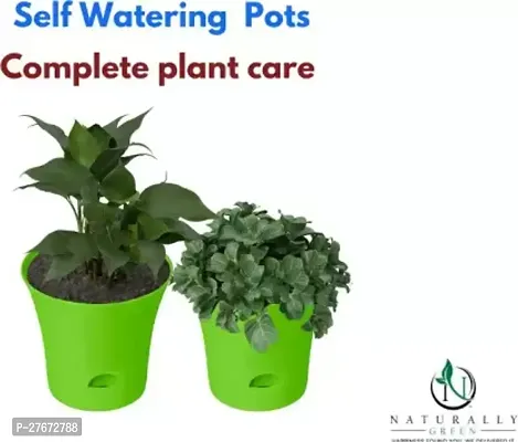 Naturally Green Self Watering Pots Big Conical Plant Container Set Pack Of 2
