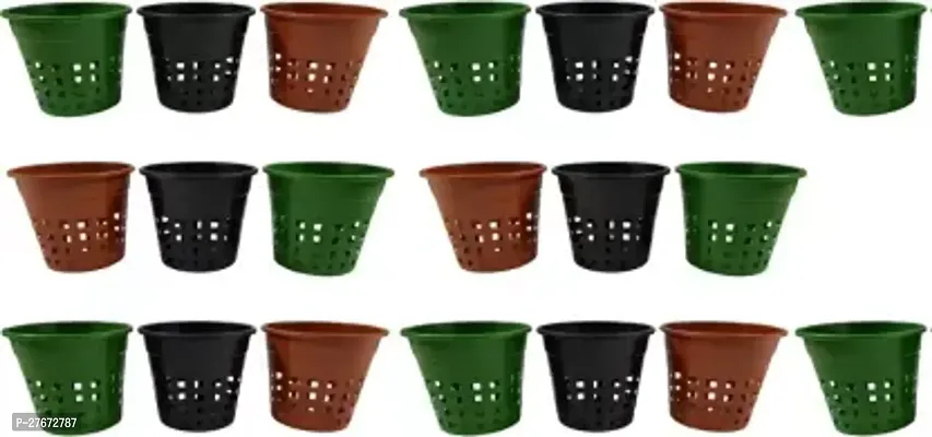 Naturally Green Orchid Pot Plant Container Set Pack Of 20