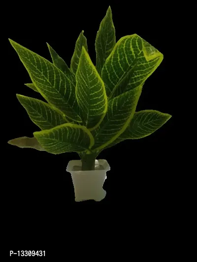 Artificial Money Plant Bunch with Pot Home Decor/Office Decor/Gifting Purpose-thumb0