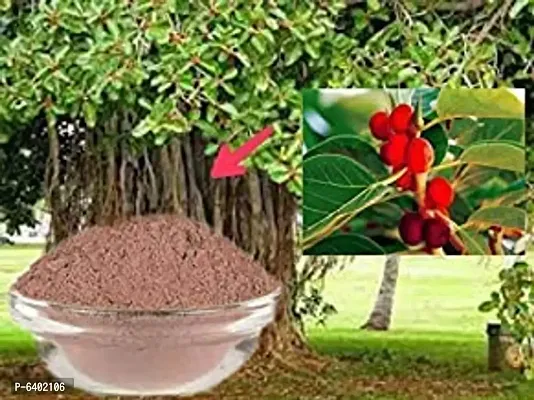 Pure And Natural Banyan Fruit Powder / Bargad Fal Churna - 450 Grams