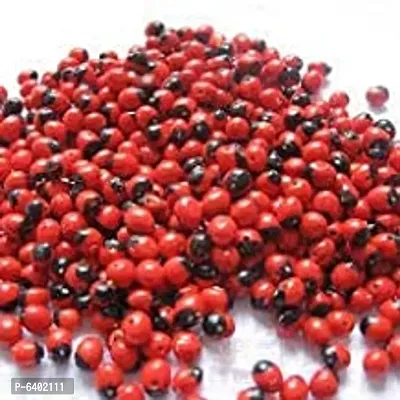 Natural Rakt Lal Gunja/Red Chirmi Beads For Home And Office-Set Of 60,  Seed-thumb0