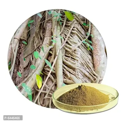 PEEPAL BARK POWDER 250gm