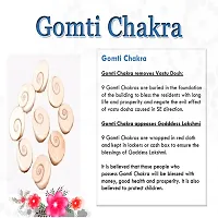 Gomti Chakra 21Pcs-thumb2