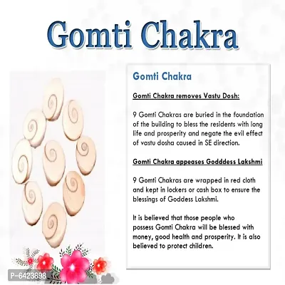 Gomti Chakra 21Pcs-thumb3