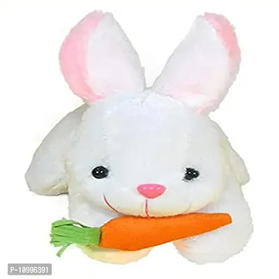 Beautiful Super Soft Rabbit With Carrot Soft Toy For Kids Gift