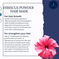 Hibisicus Powder For Hair Pack-100gm-thumb3