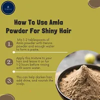 Amla Powder For Hair Pack-100gm-thumb3