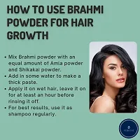 Bhringraj Powder For Hair Pack-100gm-thumb2