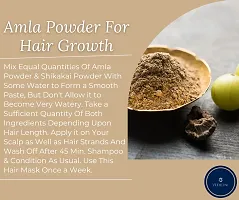 Amla Powder For Hair Pack-100gm-thumb2