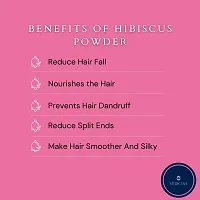 Hibisicus Powder For Hair Pack-100gm-thumb4