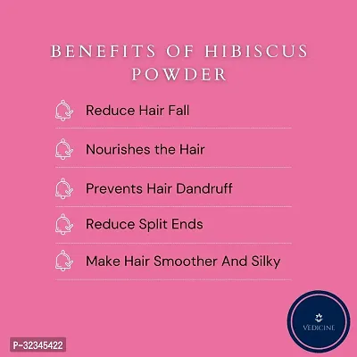 Hibisicus Powder For Hair Pack-100gm-thumb5