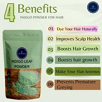 Indigo Powder For Hair Pack-100gm-thumb4