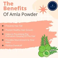 Amla Powder For Hair Pack-100gm-thumb4