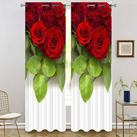 Printed Door Curtains