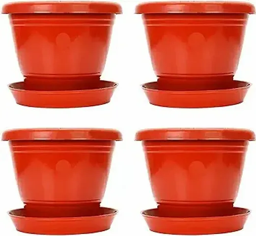 Hot Selling Plant & Planters 