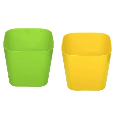 Limited Stock!! Plant & Planters 