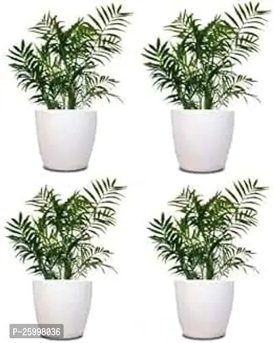 Stylish Amrold Flower Pot Plant Container Set Pack Of 4 Plastic