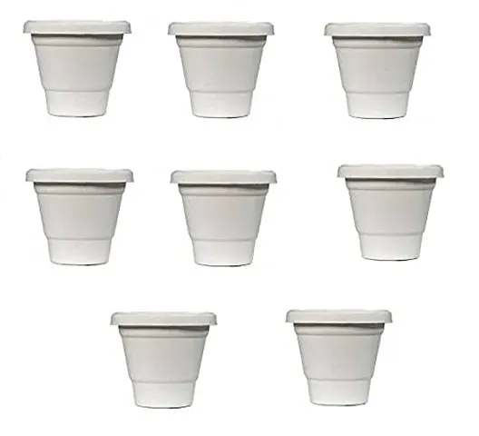 Hot Selling Plant & Planters 