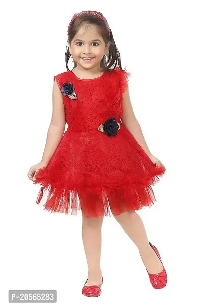 Ziora Baby Girls Frock Maxi Dress Net A Line Dress for Girl-thumb0