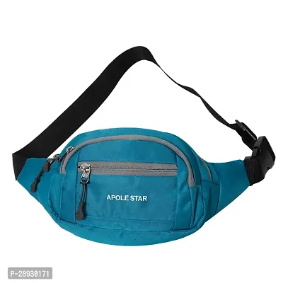 Stylish Waist Bag Cross Body Bag for Travelling-thumb0