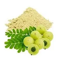 VS Products Amla Powder | Nellikai Power | Indian Gooseberry Powder, 400g-thumb2